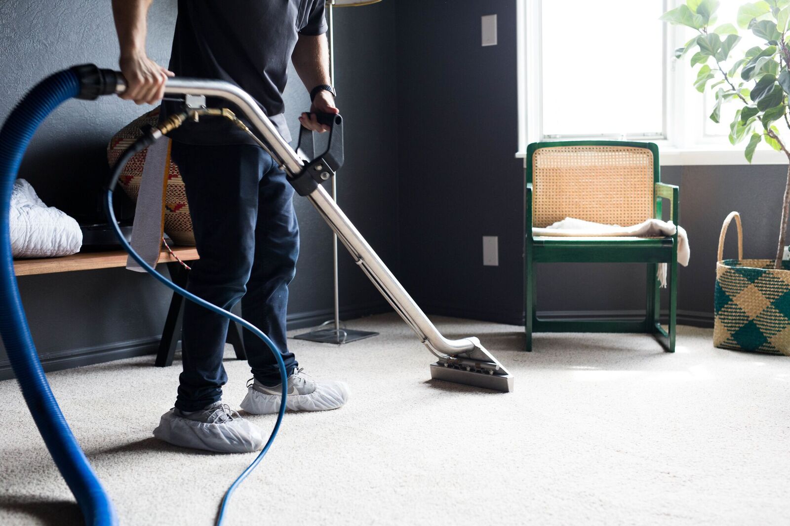 The Ultimate Guide to Carpet Cleaning in Clarksville, TN