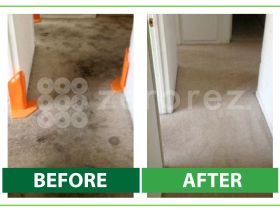 Soild Carpet Cleaning Before and After