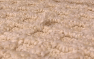 Carpet Snag